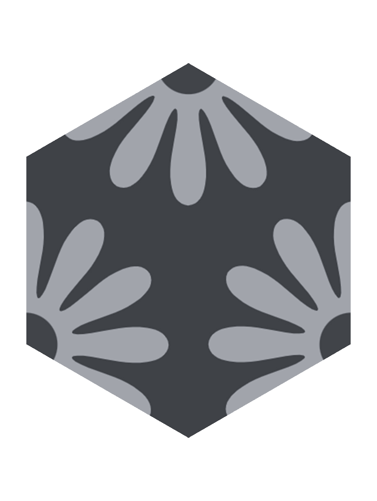 hexagon_0014_HEXAGON_0011_55